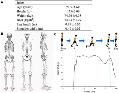 Biomechanical effects of exercise fatigue on the lower limbs of men during the forward lunge